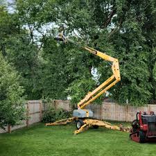 Best Sod Installation  in Louisville, TN