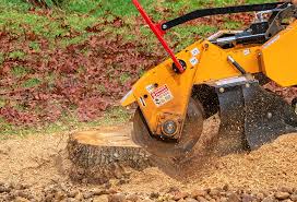 Best Fruit Tree Pruning  in Louisville, TN